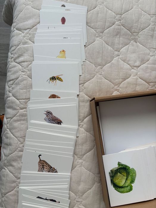 Карти Carrot плодове, зеленчуци и животни