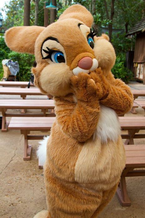 Аниматор костюмлари