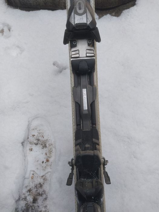 Лыжи горные продам.