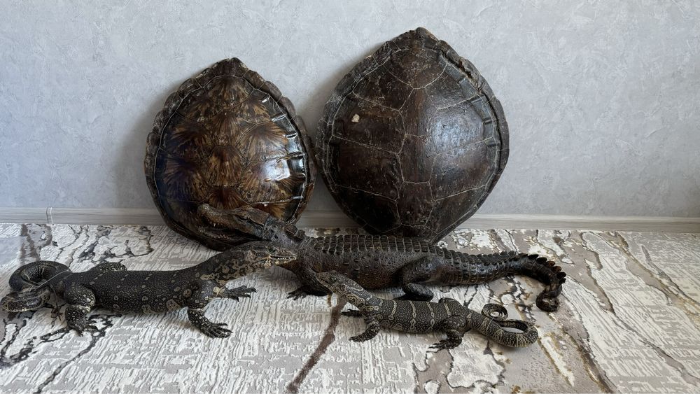 Эксклюзивные сувениры из Юар