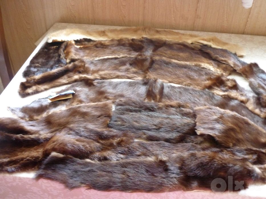 Меховые шкурки выделанные