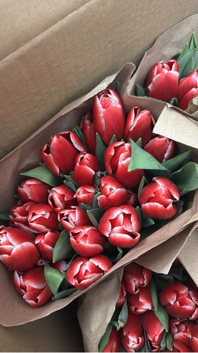 Тюльпаны 380тг от 100шт