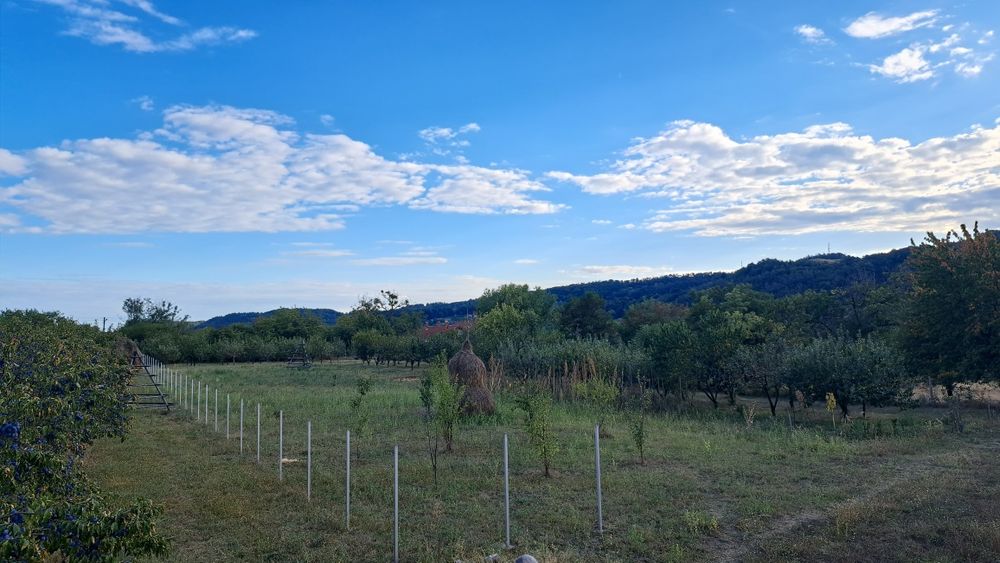 Teren intravilan
