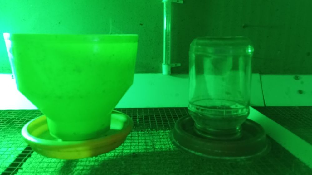 Bruder. Брудер для циплят, перепелят