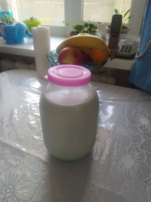 Козье молоко, айран.