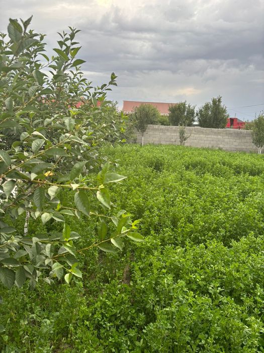 Жер сатылады 6 соток