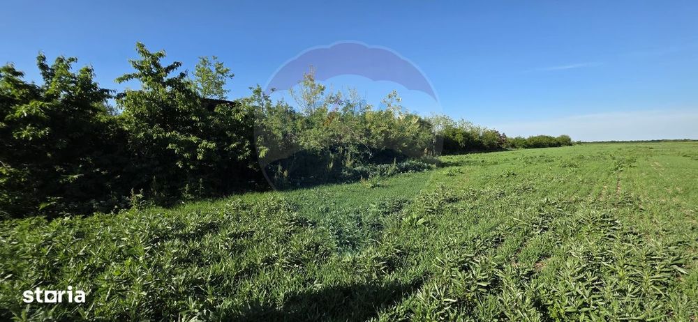 Teren de vanzare – 9458 mp – Bujoreanca Comuna Cornesti