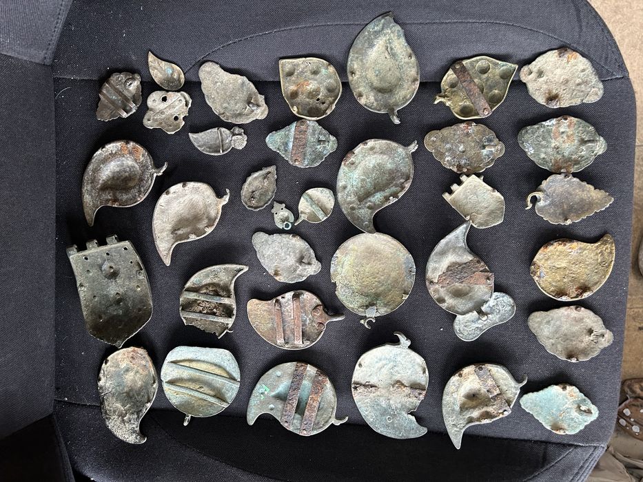 половинки Пафти