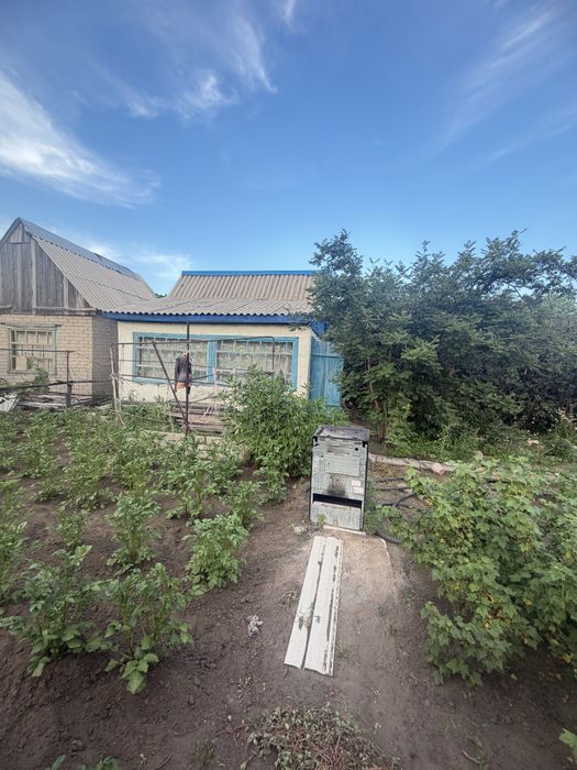 Здоровья Дача продам Калиновая 84