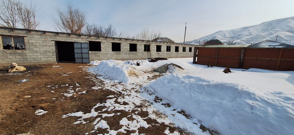 текеліде жер уи сатылады