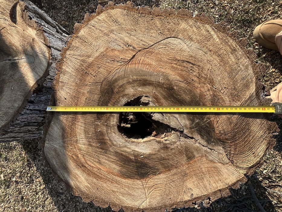 De vânzare trunchi nuc