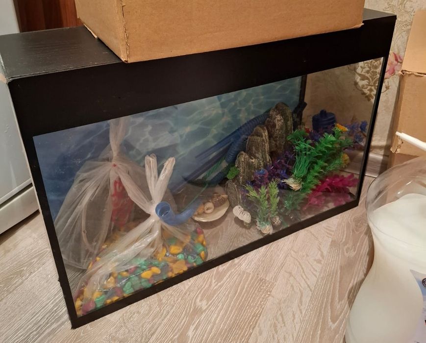 Аквариум и клетка для попугая