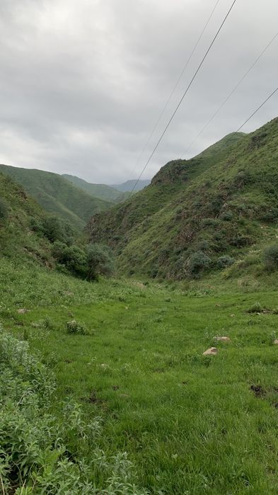 Участок 19,5 гектаров