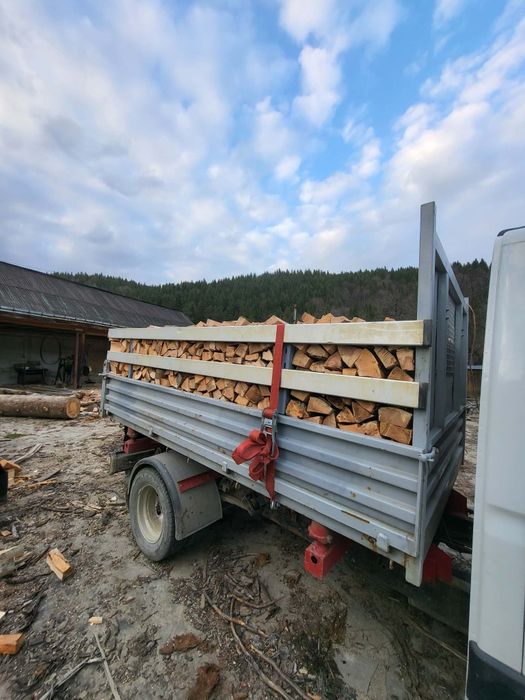 Lemne de foc fag tăiate la dimensiunea dorita