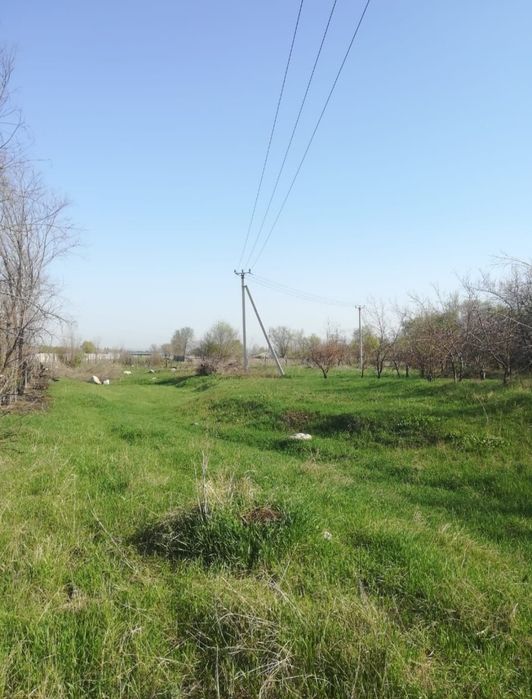 Сдам в аренду землю