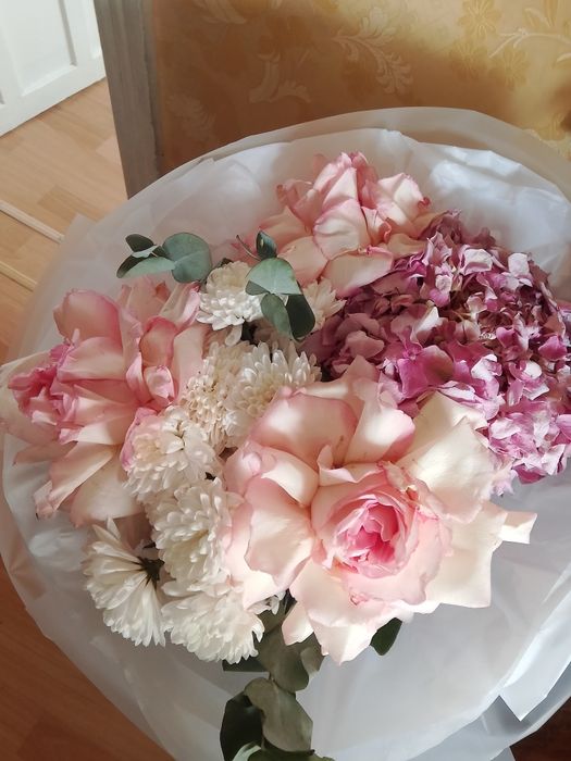 Продажа цветов розы