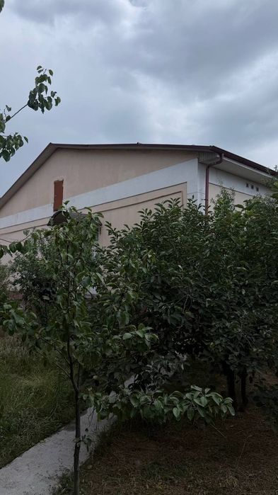 Toshkent shahar Yangihayot tumani, Gulzor mahallasida joylashgan kotej