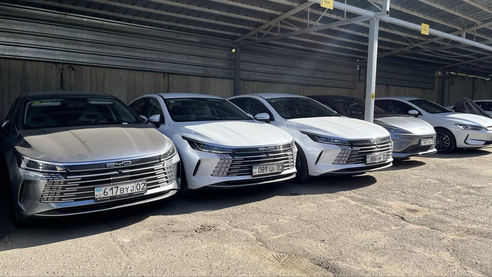 Byd Qin Plus, Byd Destroyer