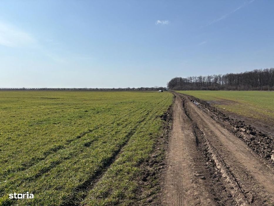 Teren 10700 MP Lotizat in parcele de 500 MP AFUMATI