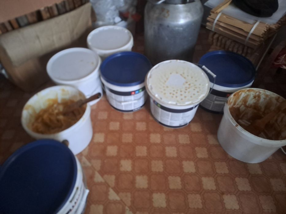 Мёд оптом 2025 года