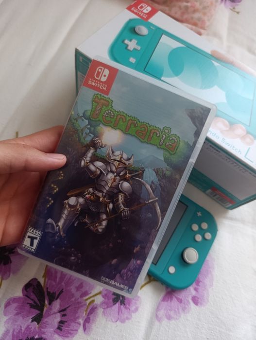 Nintendo Switch Lite