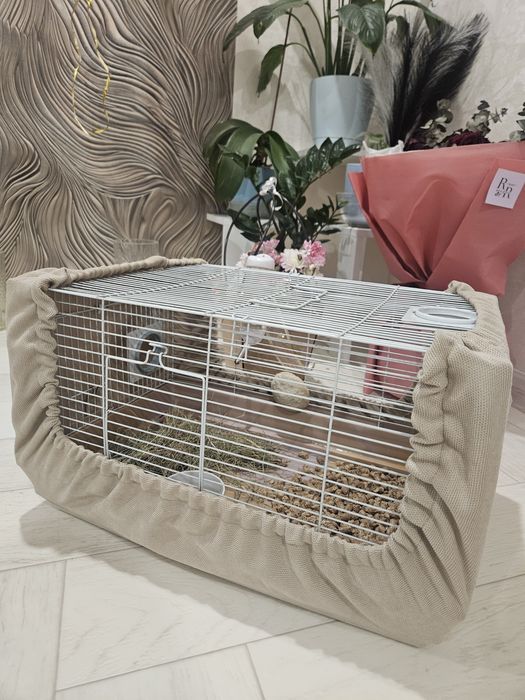 Продам декоративного кролика