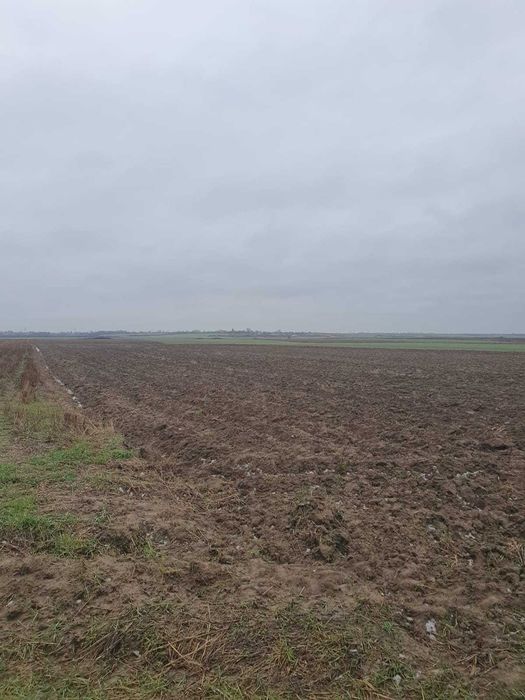 Vând teren extravilan 2,5 hectare