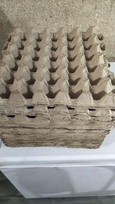 Лотки для куриных яиц продам