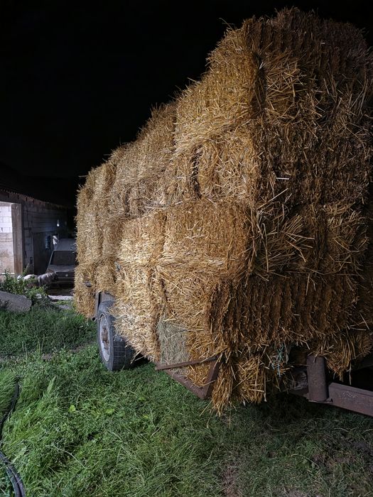 Baloți  de vânzare