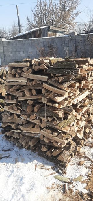 Дрова Алматы и область