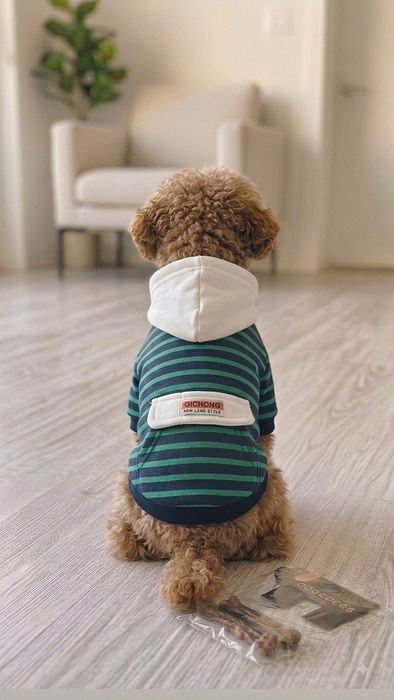 Продам комбинезоны для собачки