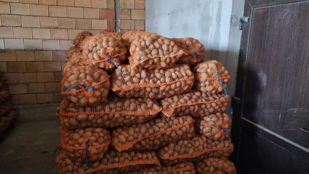 Cartofi samanta alb Edison , Carrera