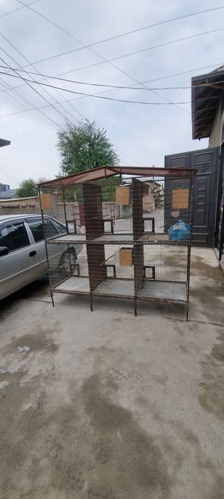 Кафас qafas 6 хонали