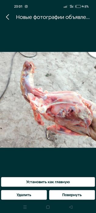 Корм для собак и кошкам