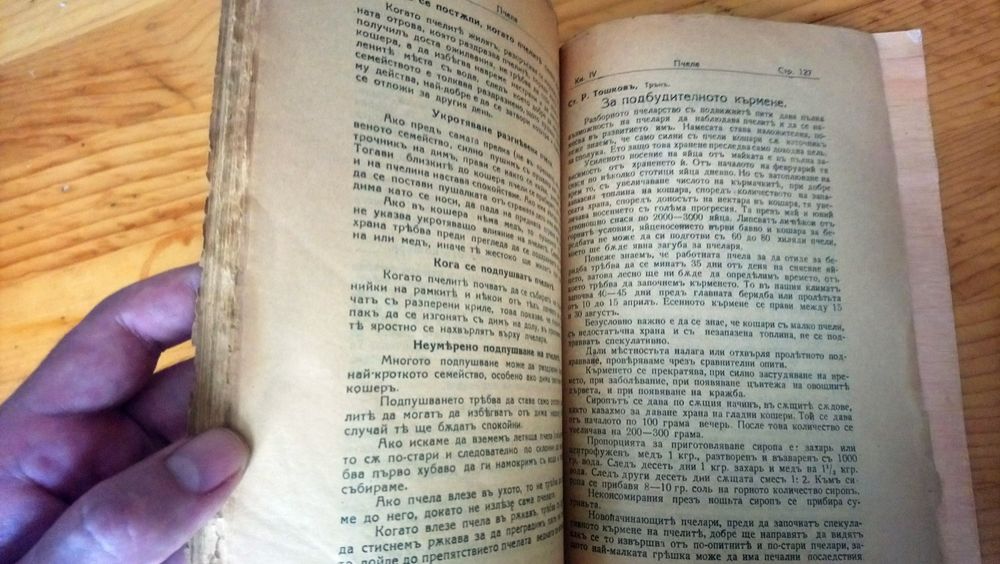 Списание ПЧЕЛА