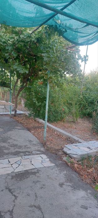 Дала ховли сотилади