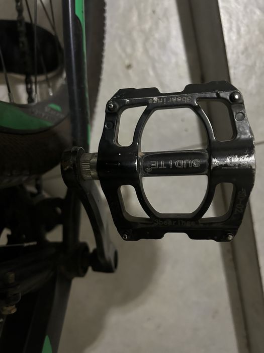 Велик макинар браль с каспий