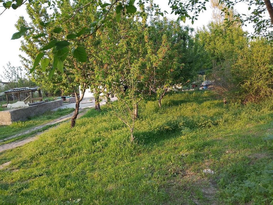 20sotix yer sotiladi