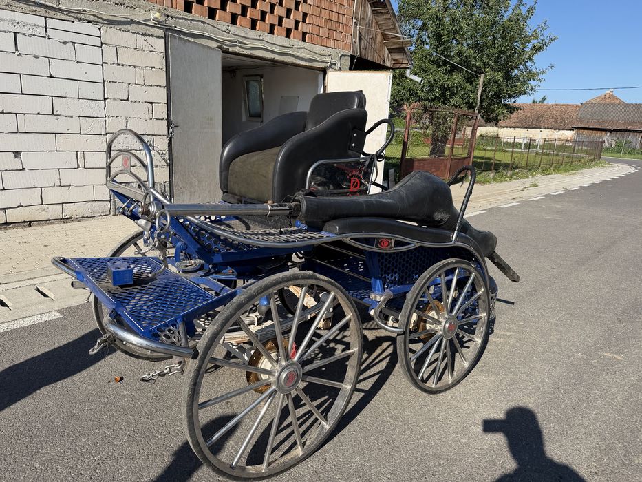 Vand trasura maraton Dominiak Poland