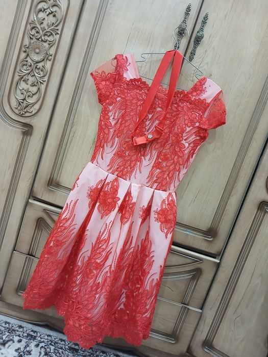 Vechrni koyne kamari bor