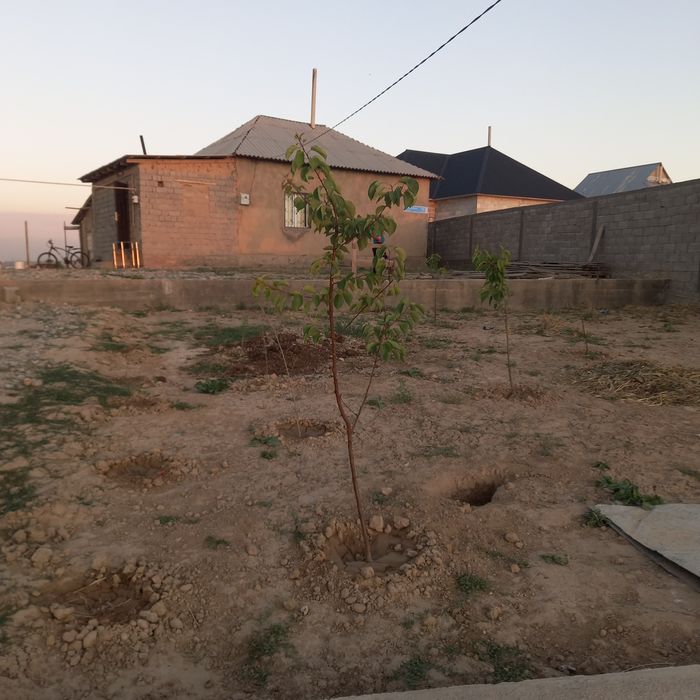 Частный дом( дом)