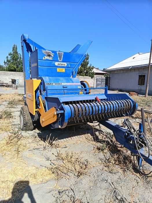 Fasol kombay turkiya