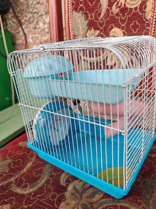 Клетка для Хомика