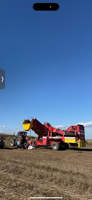 Combină Grimme 150/60 plantatoare cartofi freză