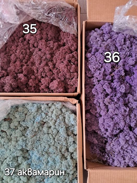 !Промоционални цени Скандинавски мъх и топчест мъх