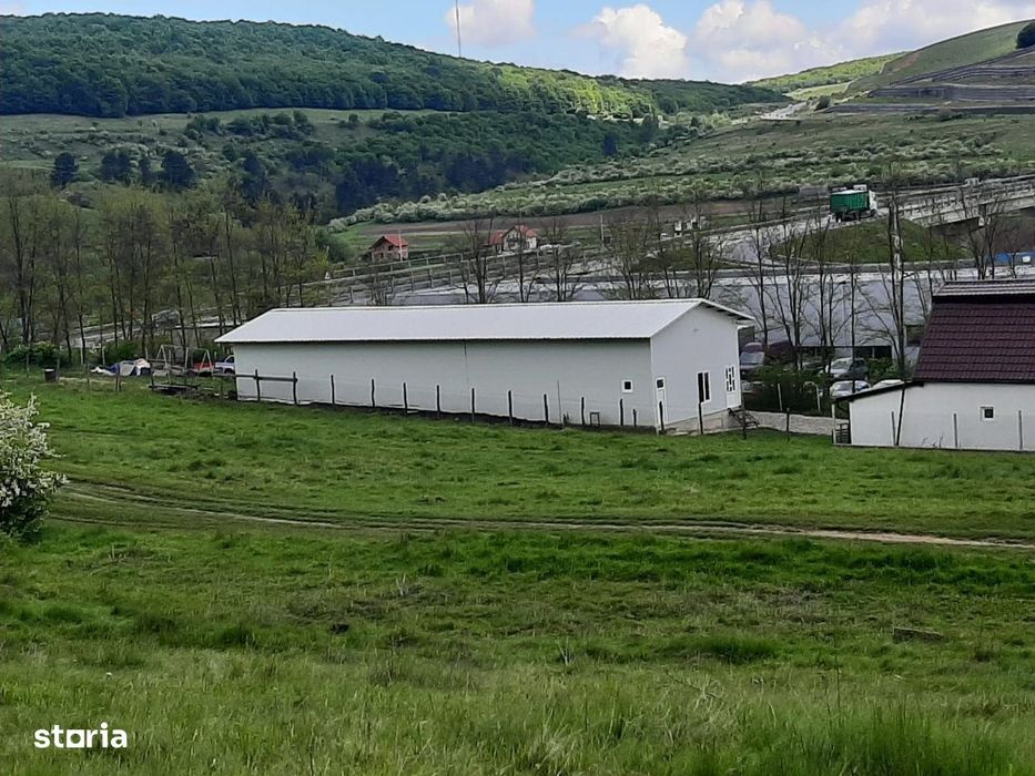 Teren de vanzare in Valcele