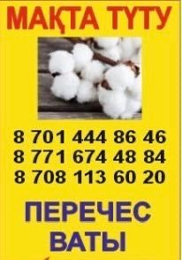 Перечес ваты ( мақта түту)