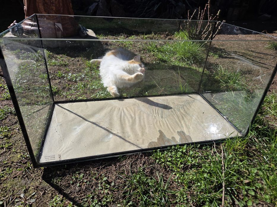 Acvariu 60x30x30 nou