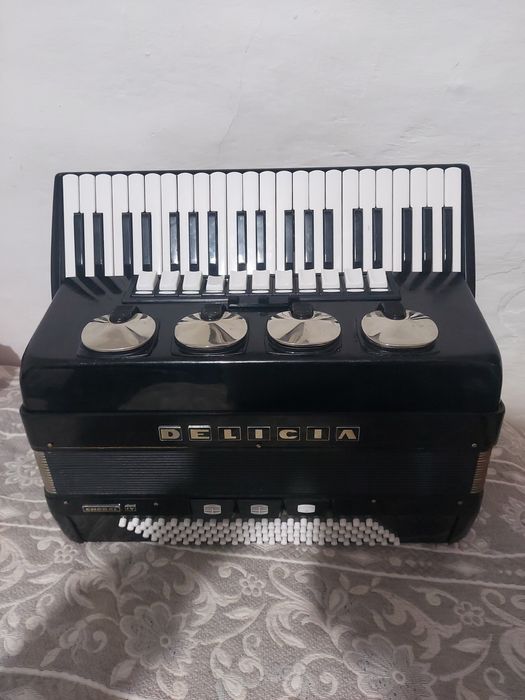 Vând acordeon delicia 120 basi