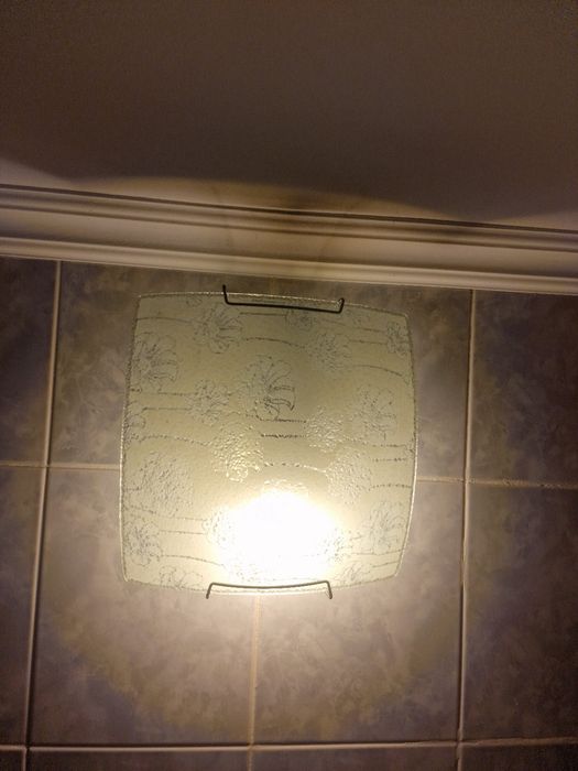 Светильник в хорошем состоянии